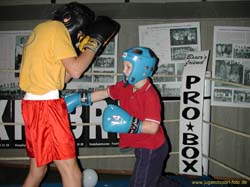 Boxen