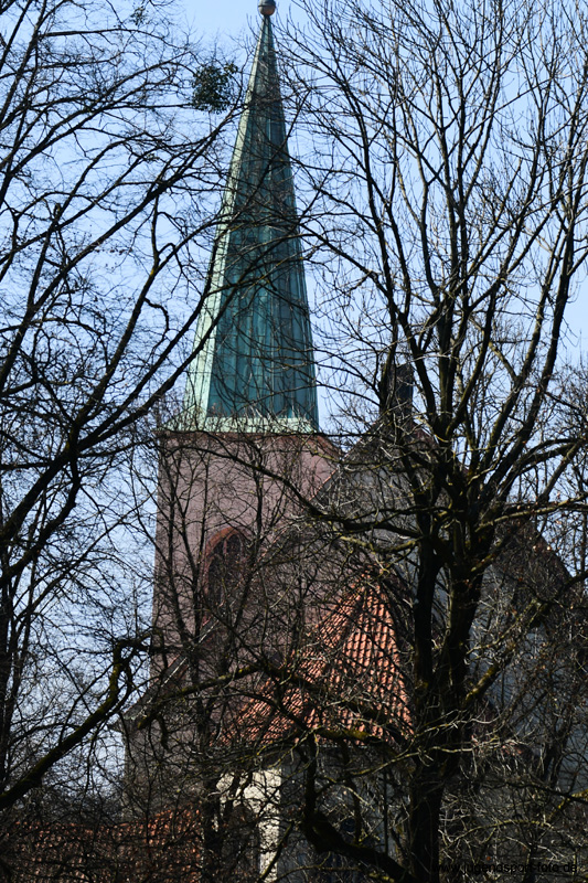 DH5_8864
